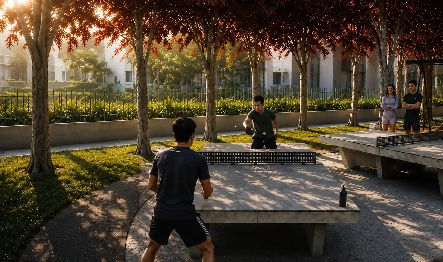 Table Tennis Court